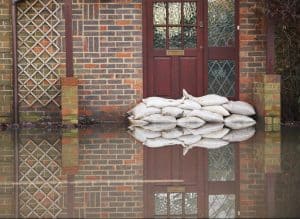 Lilac Tree Financial Insurance Page 1