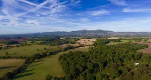 Lilac Tree Financial Home Banner